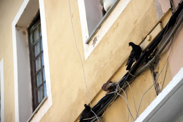 2010 07 04 jeanmarcperfetti.com 052.JPG